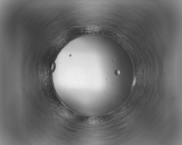 X0000053070608200507251501