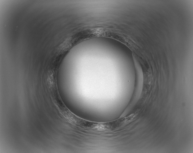 X0000053070611200507251501