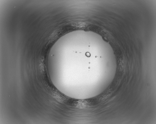 X0000053070612200507251501