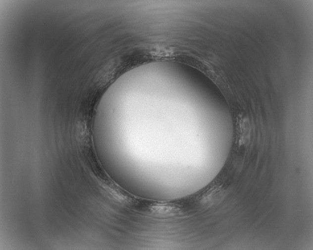 X0000053070614200507251501