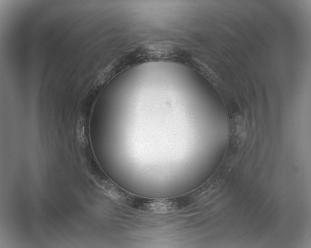 X0000053070615200507251501