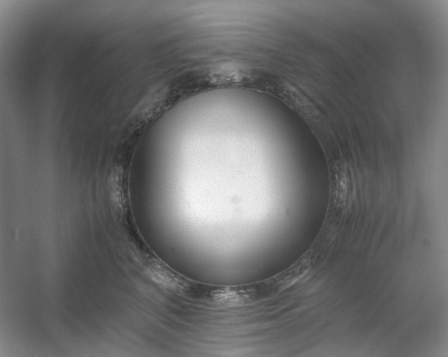 X0000053070616200507251501