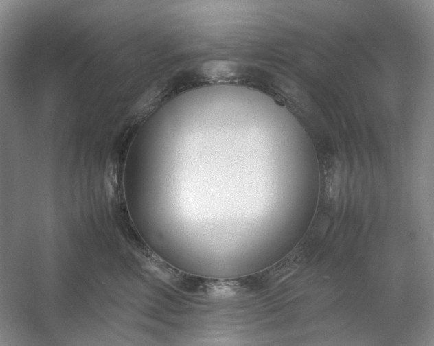 X0000053070618200507251501