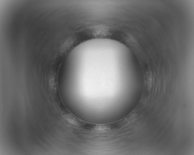 X0000053070619200507251501