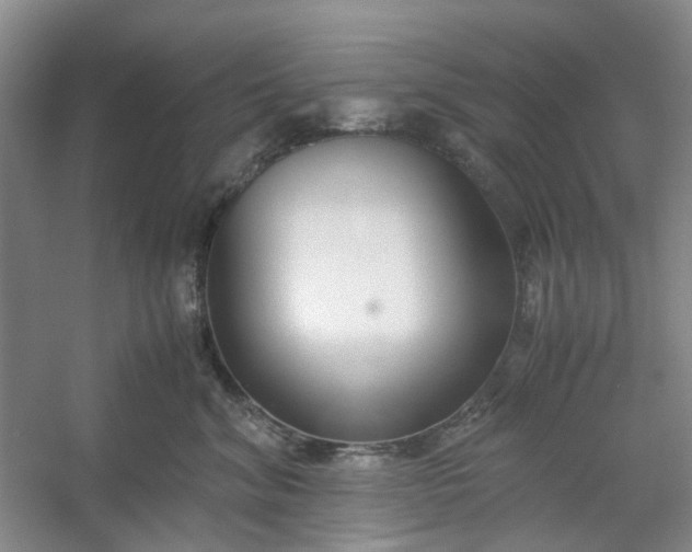 X0000053070620200507251501