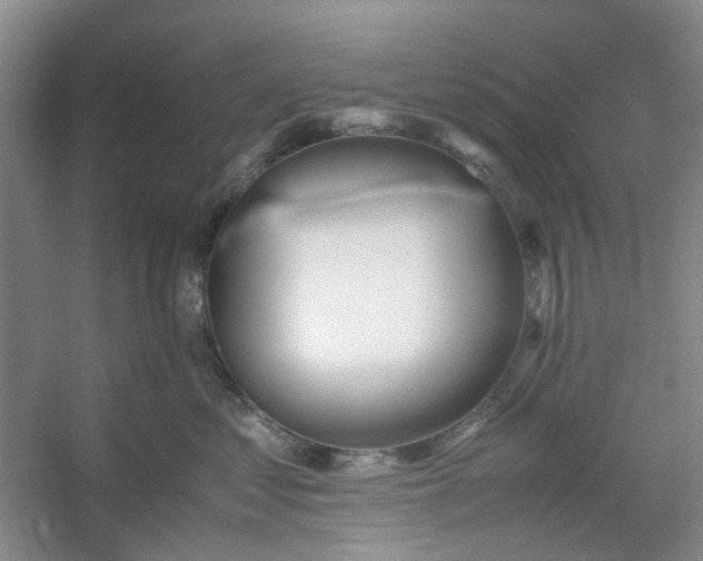 X0000053070621200507251501