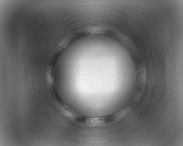 X0000053070622200507251501