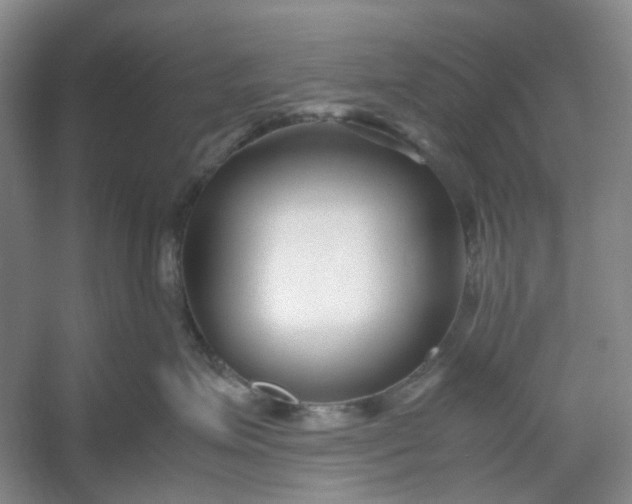 X0000053070623200507251501