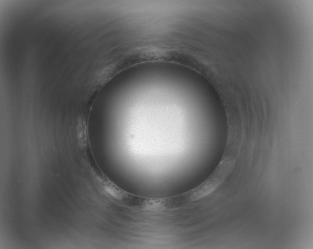 X0000053070624200507251501