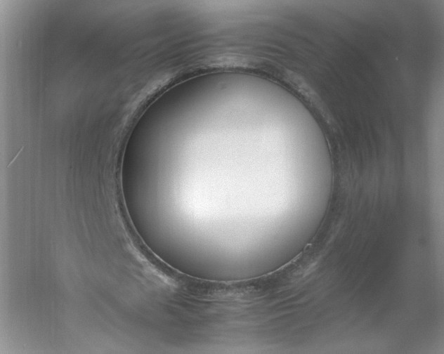 X0000053070625200507251500