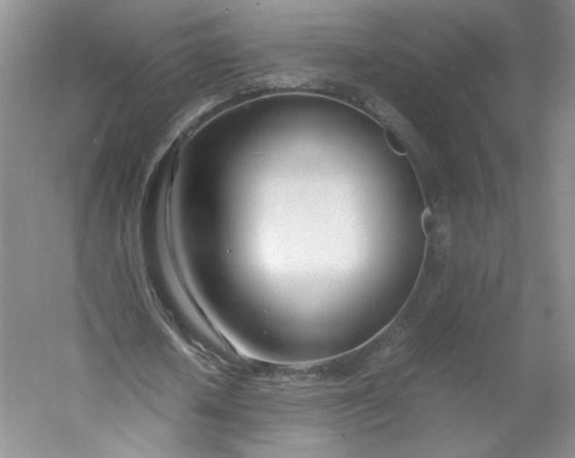 X0000053070626200507251500