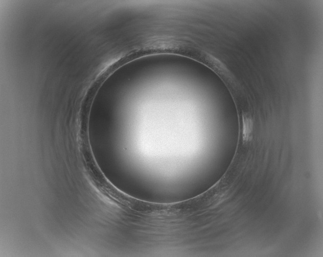 X0000053070627200507251500