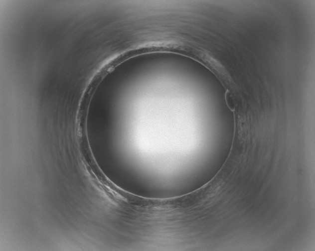 X0000053070628200507251500