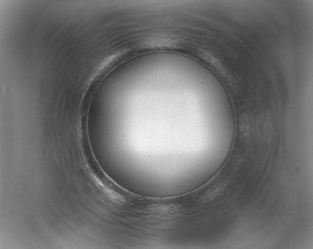 X0000053070629200507251500