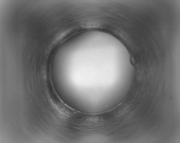 X0000053070631200507251500