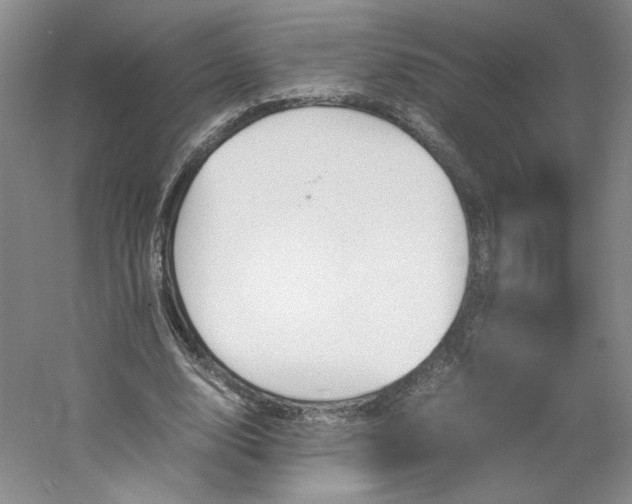 X0000053070632200507251500