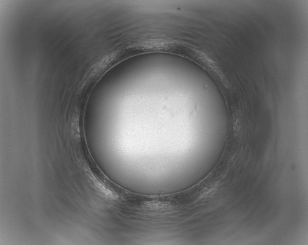 X0000053070633200507251500