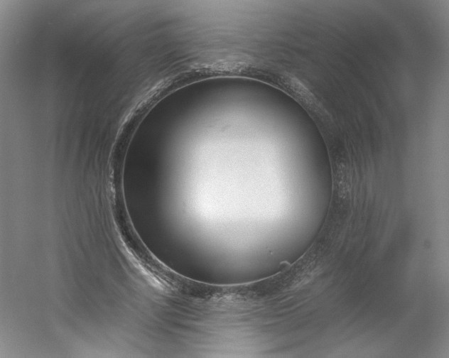 X0000053070634200507251500