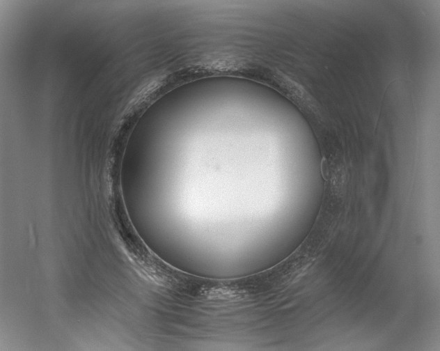 X0000053070635200507251500