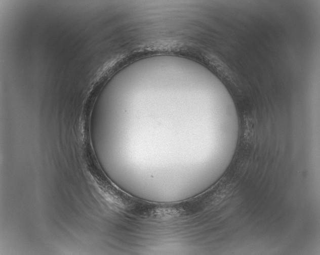 X0000053070636200507251500