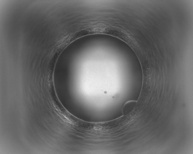 X0000053070641200507251500