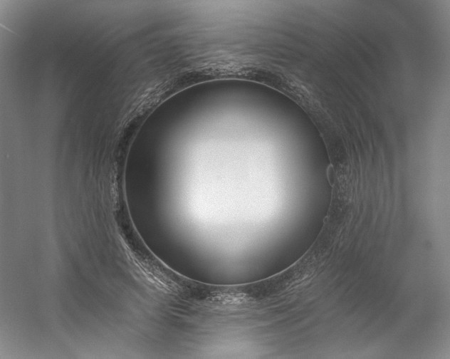 X0000053070642200507251501