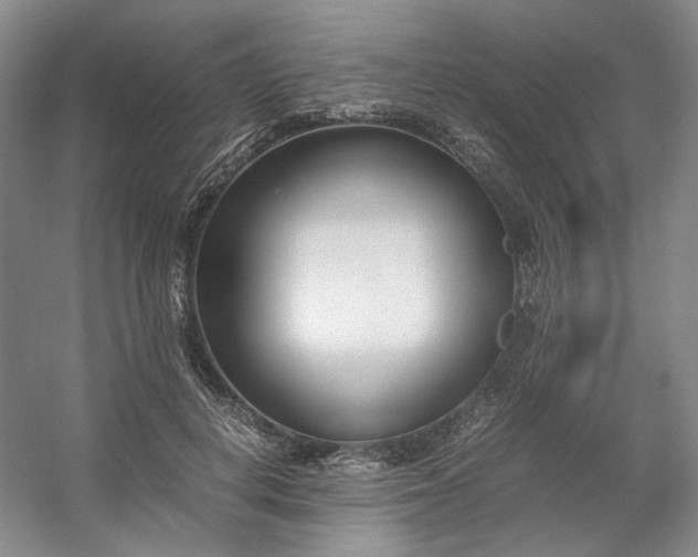 X0000053070648200507251501