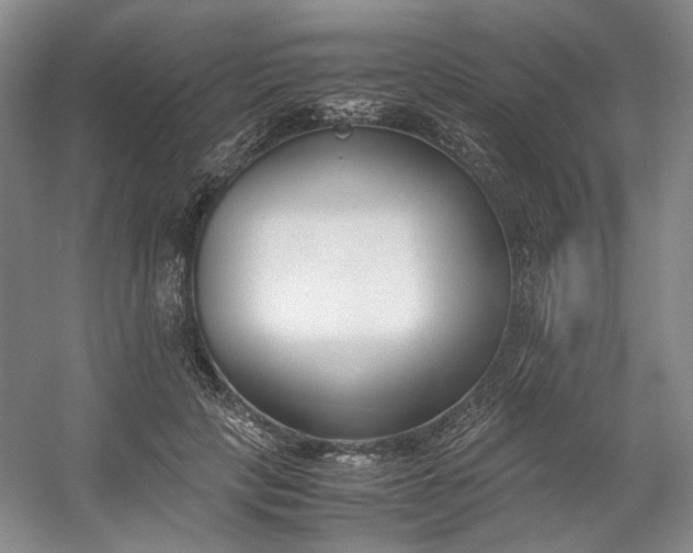 X0000053070649200507251501