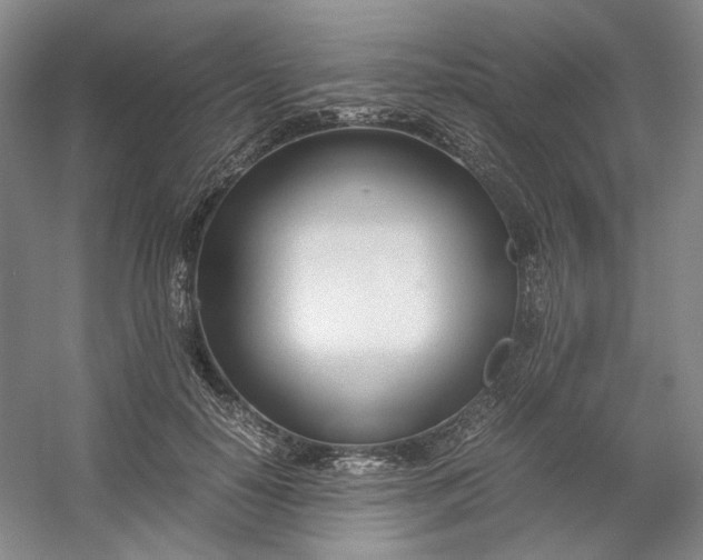 X0000053070650200507251501