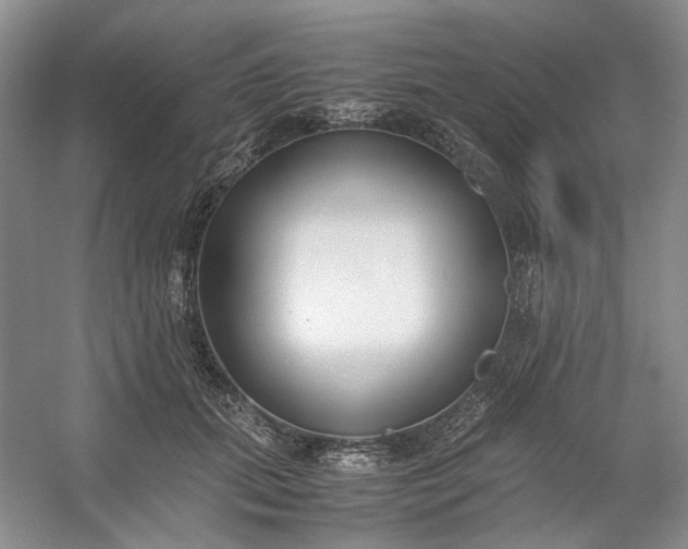 X0000053070655200507251501