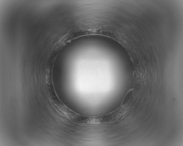 X0000053070656200507251501