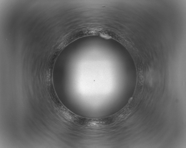 X0000053070657200507251501