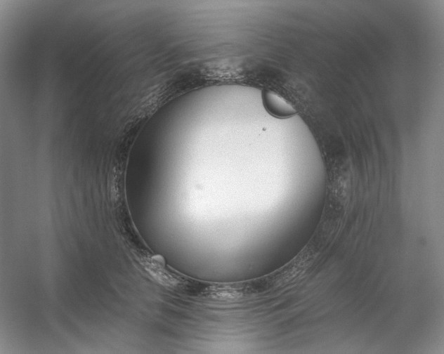 X0000053070658200507251501