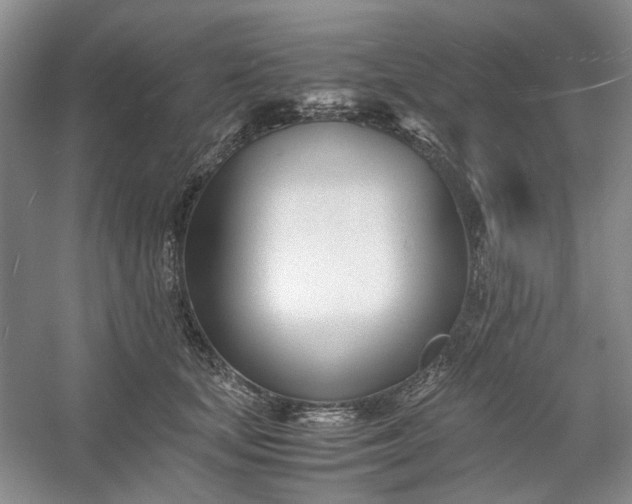 X0000053070659200507251501