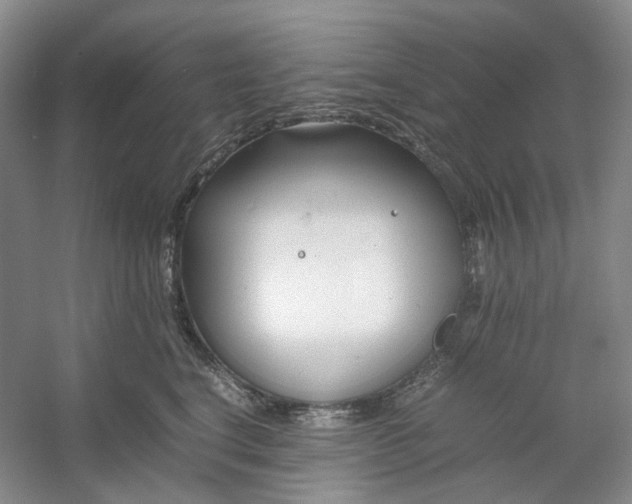 X0000053070664200507251501