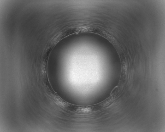 X0000053070665200507251501