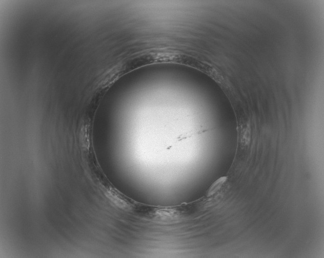 X0000053070666200507251501