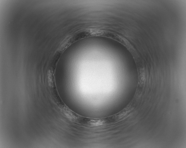 X0000053070667200507251501