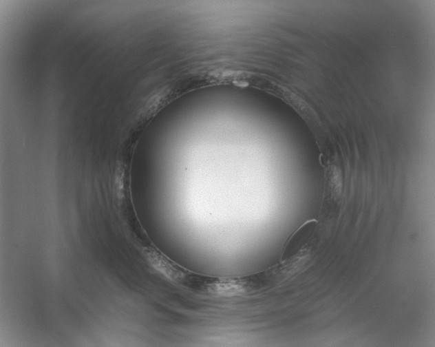 X0000053070668200507251501