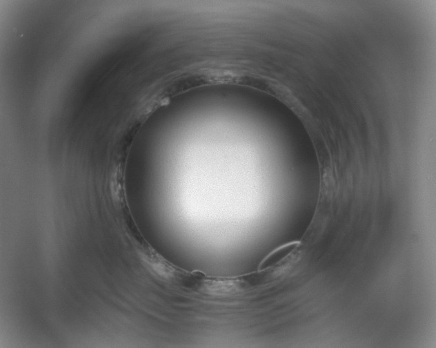 X0000053070671200507251501