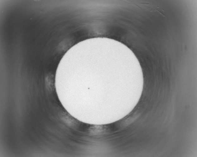 X0000053070672200507251501