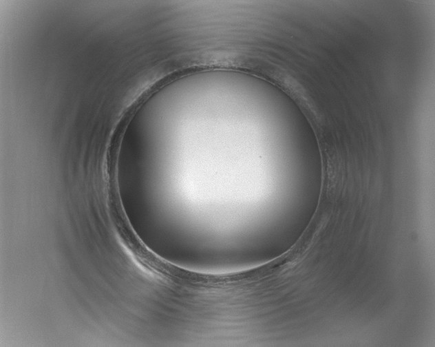 X0000053070674200507251500