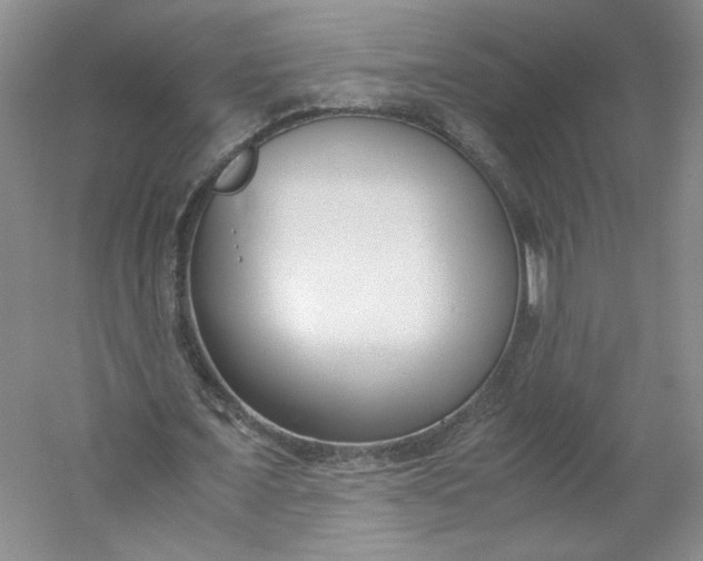 X0000053070675200507251500