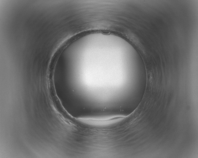 X0000053070676200507251500