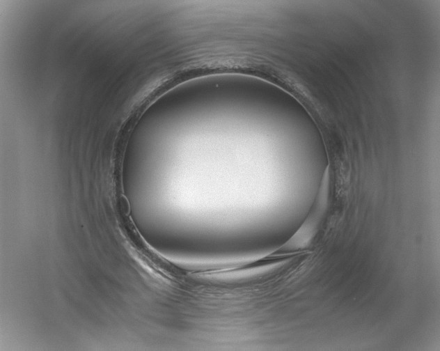 X0000053070677200507251500