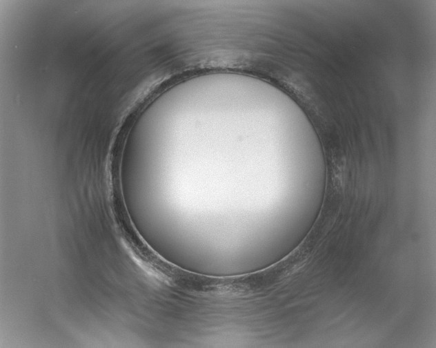 X0000053070678200507251500