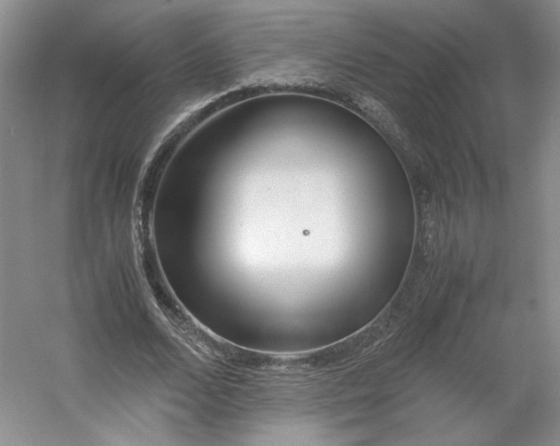 X0000053070680200507251500