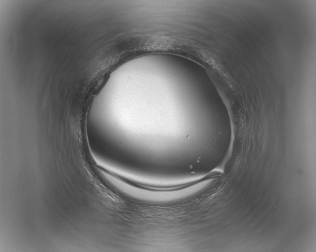 X0000053070681200507251500