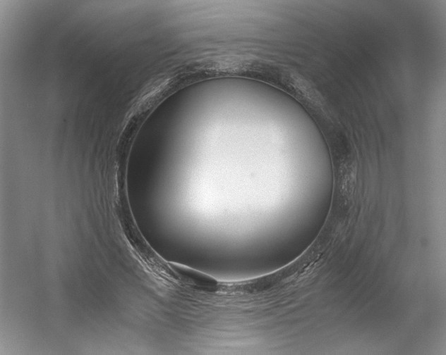 X0000053070685200507251500