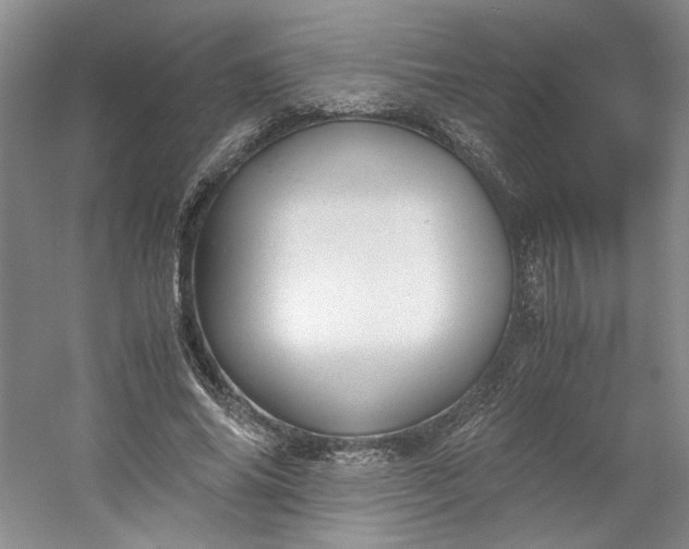 X0000053070686200507251500